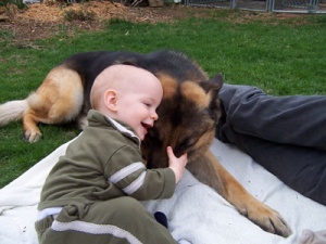 germand shepherd with baby