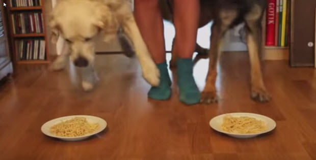 spagetti-eatting-competition1